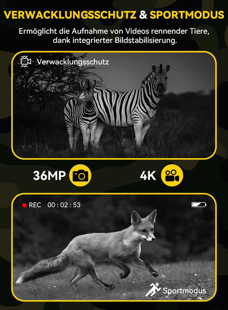 LynorHome N4 Nachtsichtgerät Feature-Display mit Zebra- und Fuchsaufnahmen, die Anti-Shake- und Sportmodus-Funktionen hervorheben
